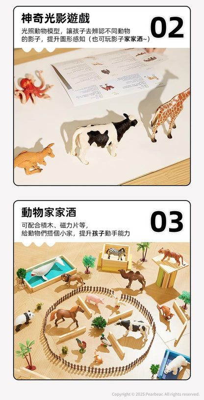 【mideer】擬真動物套組 (11pcs)
