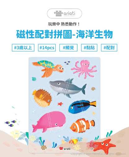 磁性配對拼圖-海洋生物	AT-MRMP-044