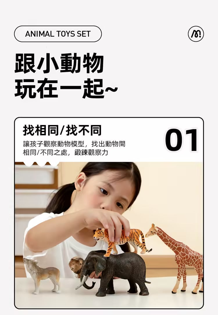 【mideer】擬真動物套組 (15PCS)