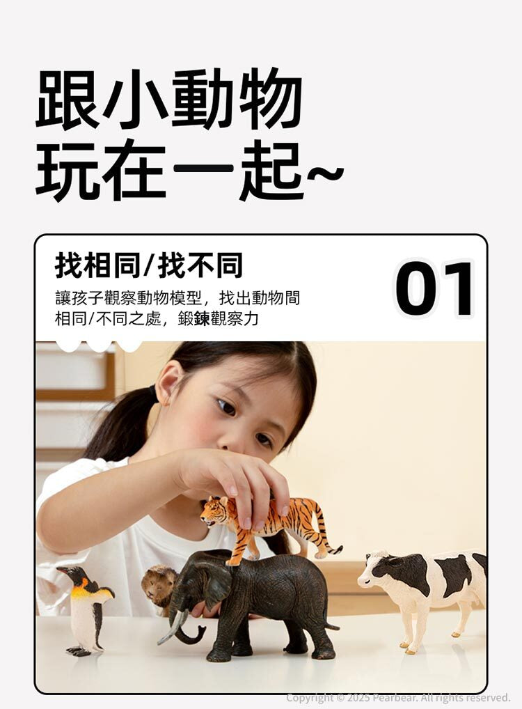 【mideer】擬真動物套組 (11pcs)