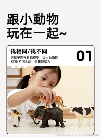 【mideer】擬真動物套組 (11pcs)
