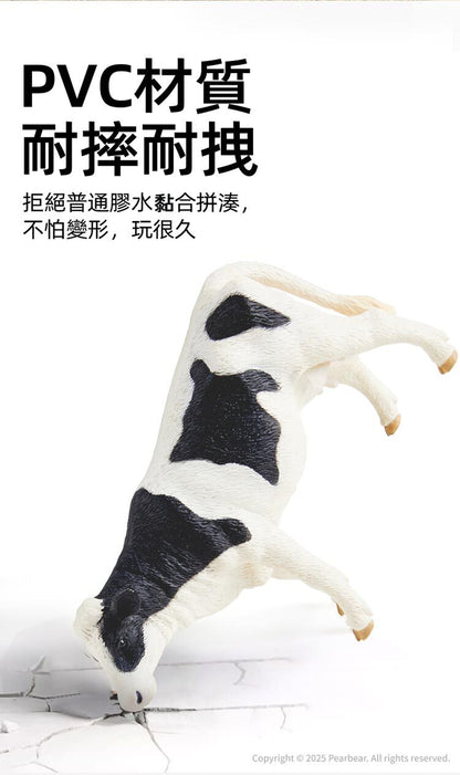 【mideer】擬真動物套組 (11pcs)