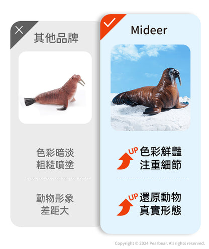 【mideer】擬真動物套組 (11pcs)